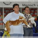 Int. Katzenshow in der Eissporthalle in Solingen (05.09.2010)