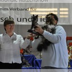 Int. Katzenshow in der Eissporthalle in Solingen (05.09.2010)