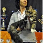 Int. Katzenausstellung in Willich (30.09.2012)