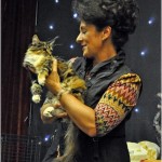 Int. Katzenausstellung in Willich (30.09.2012)