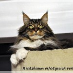 Galerie
