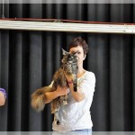Int. Katzenausstellung in Düren (20.08.2011)