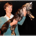 Int. Katzenausstellung in Lünen (16.01.2011)