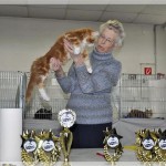 Int. Katzenausstellung in Recklinghausen (12.03.2011)
