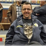 Int. Katzenausstellung in Haltern am See (22.01.2012)