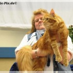 Int. Katzenausstellung in Haltern am See (22.01.2012)