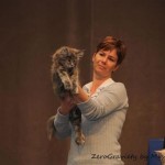 Int. Katzenausstellung in Leverkusen (03.04.2011)