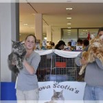 Int. Katzenausstellung in Bergheim (14.10.2012)