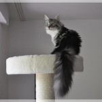 Urlaub von den "Dosis"