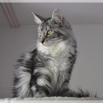 Urlaub von den "Dosis"