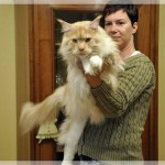 Urlaub von den "Dosis"