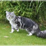 Urlaub von den "Dosis"