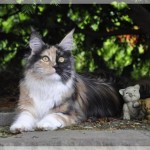 Urlaub von den "Dosis"