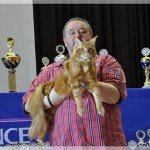 Int. Katzenausstellung in Lohmar (29.04.2012)