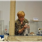 Int. Katzenausstellung in Attendorn (31.08.2013)