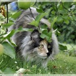 Debbie und Sammy machen Ferien!