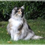 Debbie und Sammy machen Ferien!