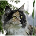 Debbie und Sammy machen Ferien!