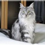 Debbie und Sammy machen Ferien!