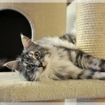 Debbie und Sammy machen Ferien!