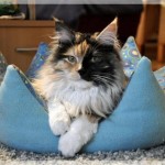 Debbie und Sammy machen Ferien!