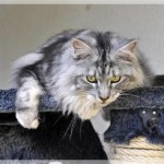 Debbie und Sammy machen Ferien!