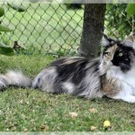 Debbie und Sammy machen Ferien!