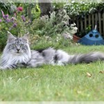 Debbie und Sammy machen Ferien!