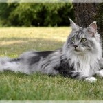 Debbie und Sammy machen Ferien!