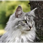 Debbie und Sammy machen Ferien!