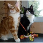 Woody und sein Kumpel Luis